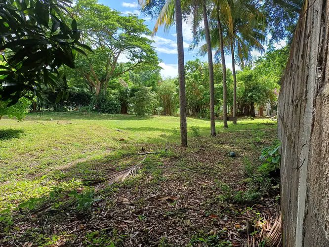 En venta precioso terreno en carretera sur - Imagen 4