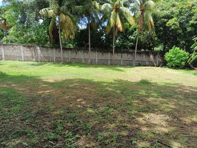 En venta precioso terreno en carretera sur - Imagen 9