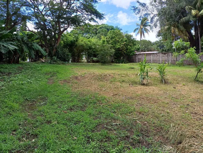 En venta precioso terreno en carretera sur - Imagen 3