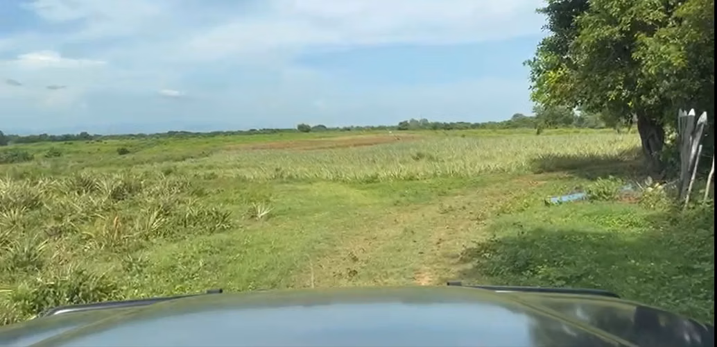 Venta finca agrícola de 65 manzanas (45.8 hectáreas) en Masaya - Imagen 9