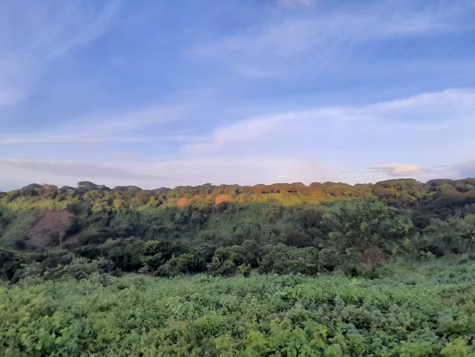Terreno con Vista Panorámica Espectacular Hacia el Lago - Imagen 9