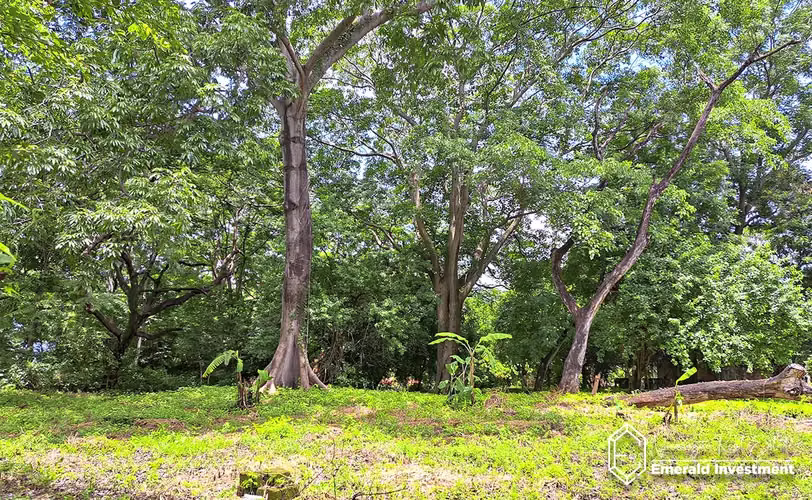 Prime 1.79 Acre Lakefront Development Opportunity In Laguna De Apoyo