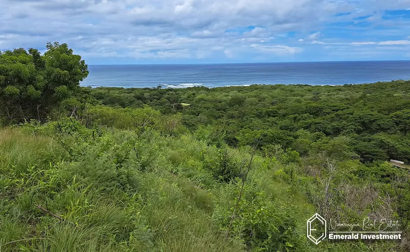 Oceanview Lots At Mango Time Beach Resort In Playa El Astillero - Imagen 10