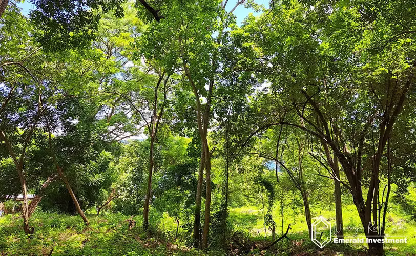 Lakefront Triple Lot In Laguna De Apoyo, Nicaragua - Imagen 14