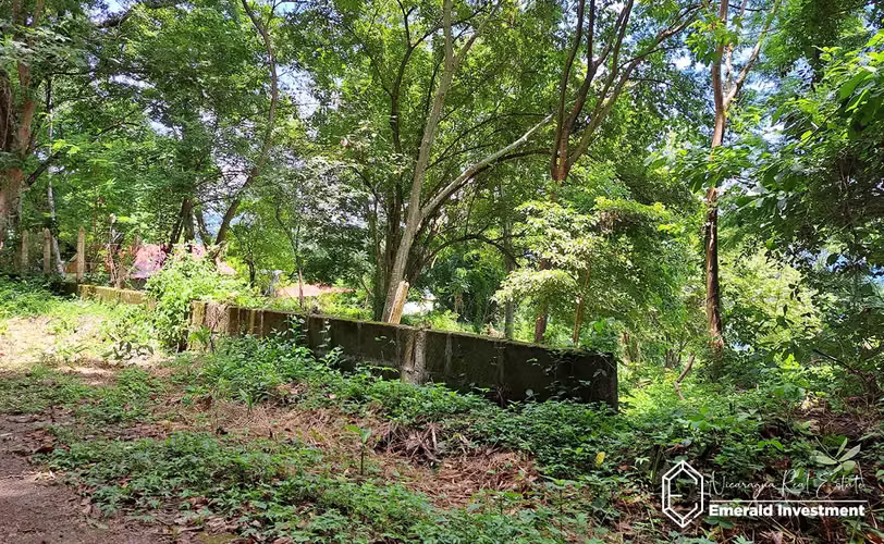 Lakefront Triple Lot In Laguna De Apoyo, Nicaragua - Imagen 18