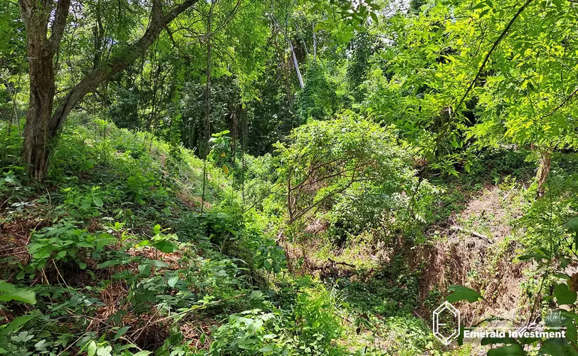 Lakefront Triple Lot In Laguna De Apoyo, Nicaragua - Imagen 13