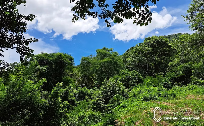 Lakefront Triple Lot In Laguna De Apoyo, Nicaragua - Imagen 11