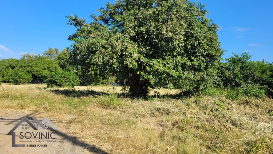 2.63 Manzanas de terreno en venta, km 12 carretera a Masaya