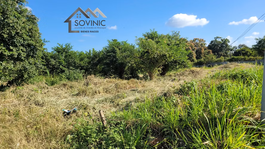 2.63 Manzanas de terreno en venta, km 12 carretera a Masaya