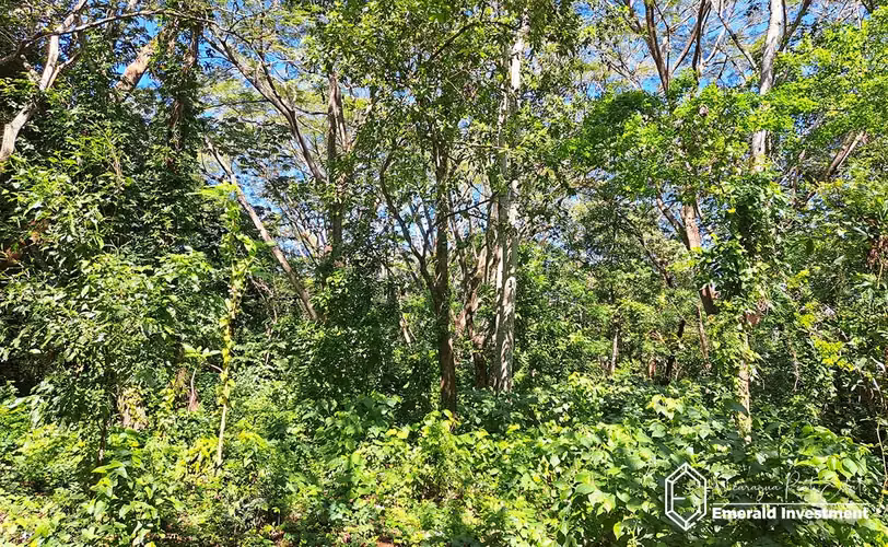 8 Manzana Quinta with Home for sale in Diriomo, Granada