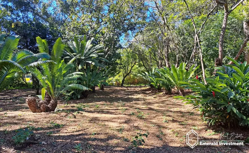 8 Manzana Quinta with Home for sale in Diriomo, Granada