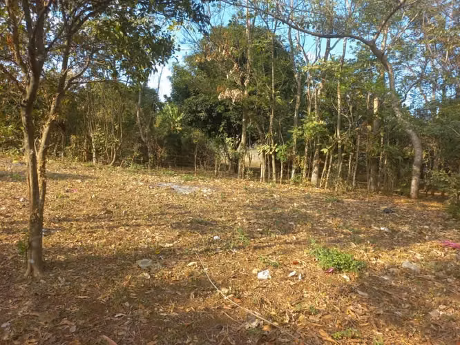 " VENDO HERMOSO TERRENO PARA CONSTRUIR EL HOGAR DE TUS SUEÑOS"