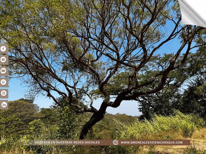 Vendo finca San Isidro de Bolas 0511