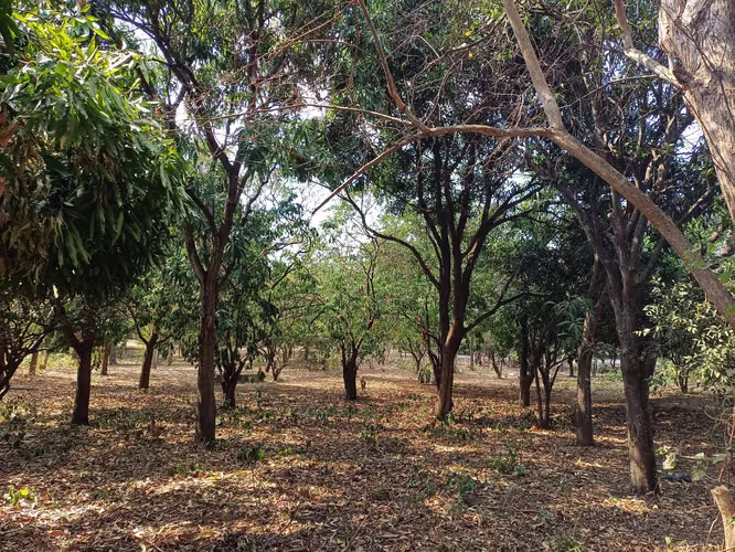 En venta precioso terreno en carretera vieja a Leon - Imagen 17