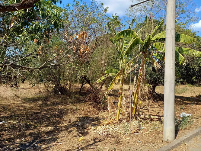 En venta precioso terreno en carretera vieja a Leon - Imagen 7