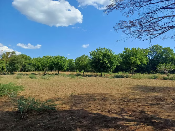 En venta precioso terreno en carretera vieja a Leon - Imagen 8