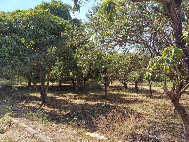 En venta precioso terreno en carretera vieja a Leon - Imagen 9