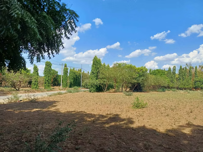 En venta precioso terreno en carretera vieja a Leon - Imagen 16