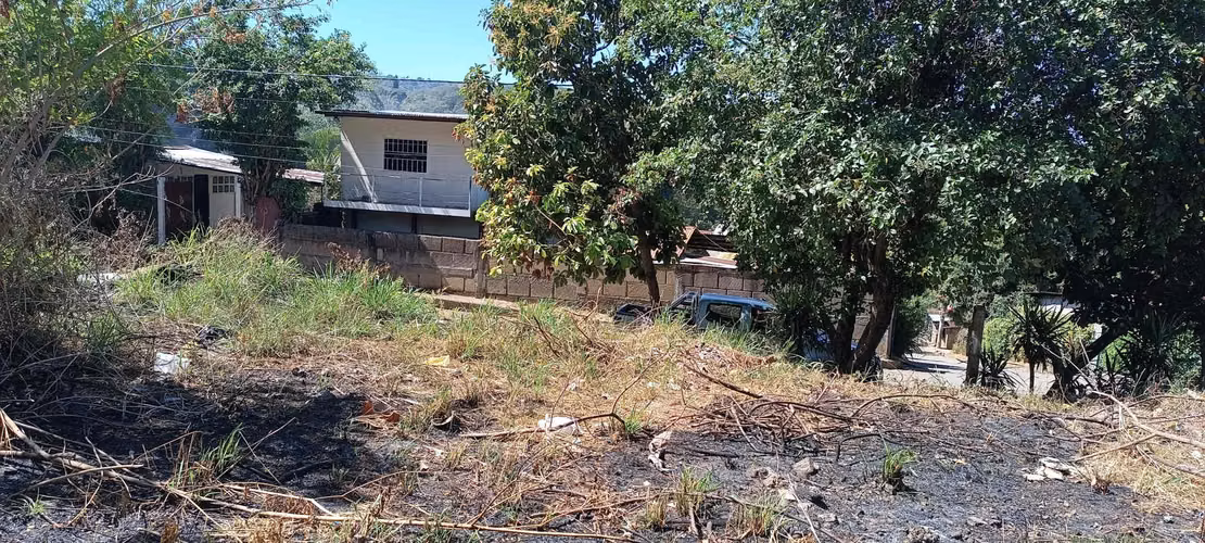 Colonia Wheelock C. Sur vendo terreno  4105 - Imagen 4