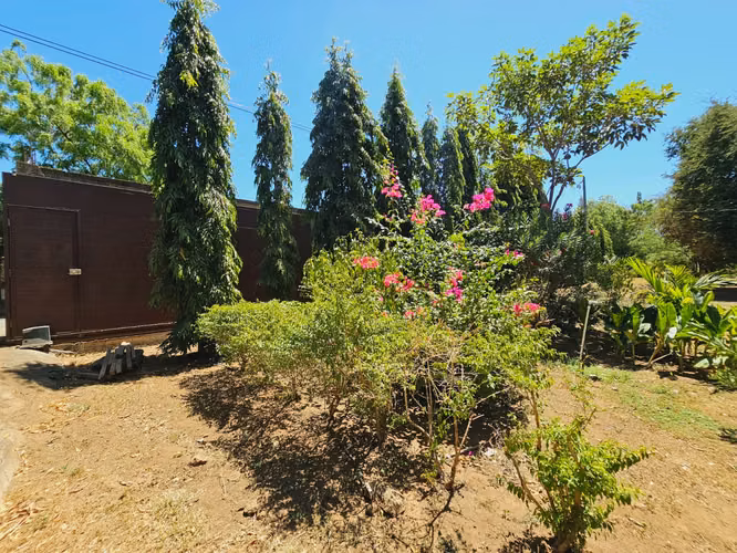Finca Agrícola de 10.9 manzanas en Cofradia con casa  remodelada.