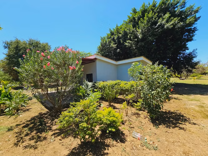Finca Agrícola de 10.9 manzanas en Cofradia con casa remodelada. - Imagen 6