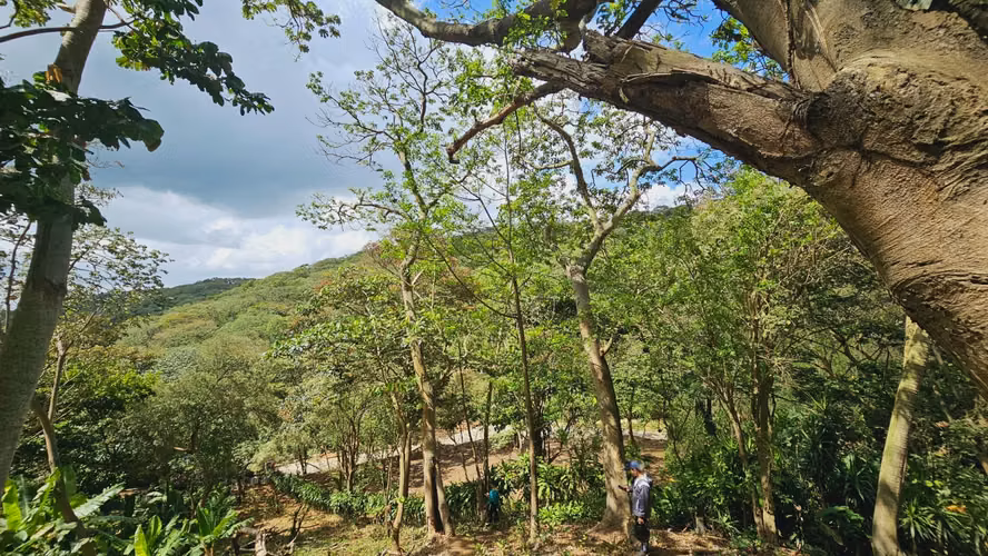 Terreno en un lugar de ensueño , Las Nubes El Crucero, Managua!