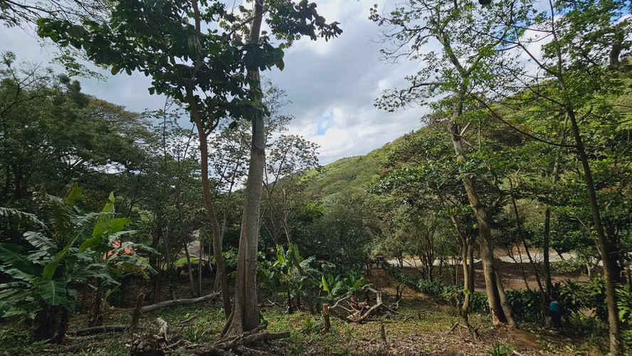 Terreno en un lugar de ensueño , Las Nubes El Crucero, Managua!