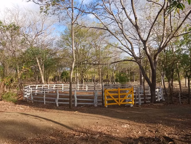 Finca Agroforestal y Eco-Turística entre Rivas y San Juan del Sur!