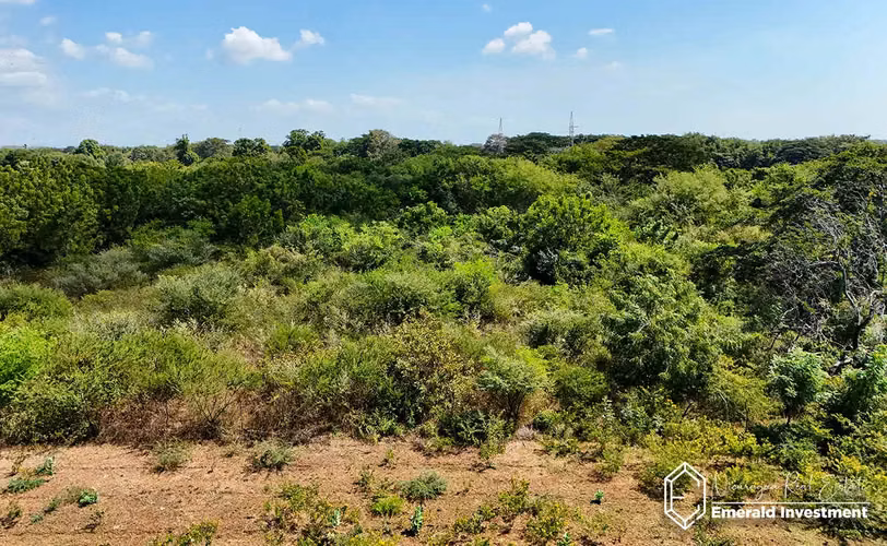 Prime 140 Acre Lakefront Property in Managua, Nicaragua - Imagen 19
