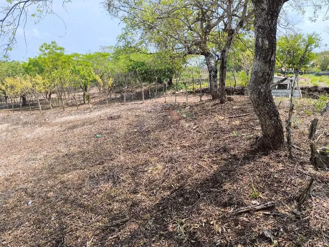 Terreno km 14 carretera a Masaya entrada a Veracruz