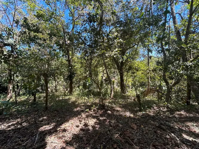 IM- Venta de terreno urbano comercial en la entrada de Masatepe - Imagen 6