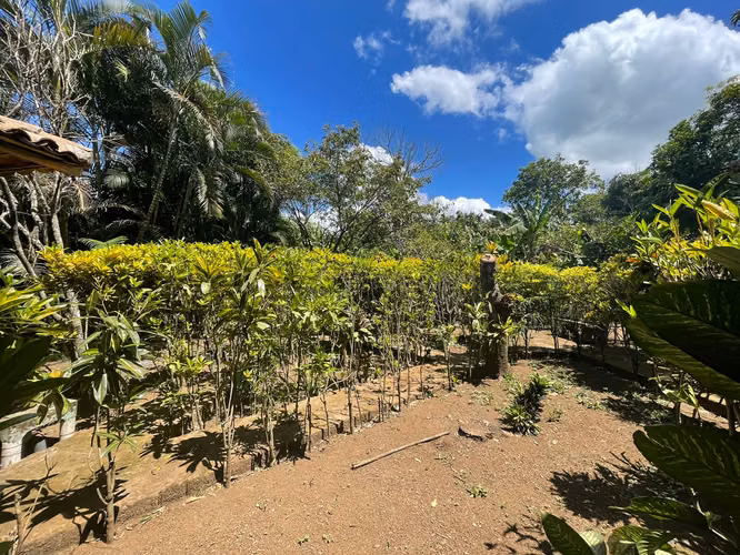 KC-QUINTA TERRENO EN VENTA MASATEPE