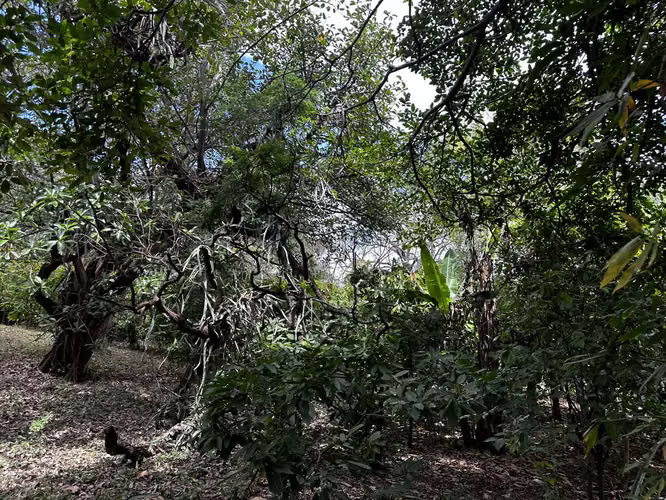 Vendo Finca en San Juan de la Concha multi propósito 0511