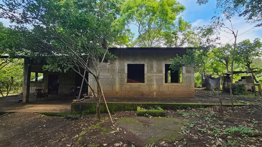 VENTA DE FINCA DE 2.25 Mzn A ORILLAS DE CARRETERA - Imagen 4