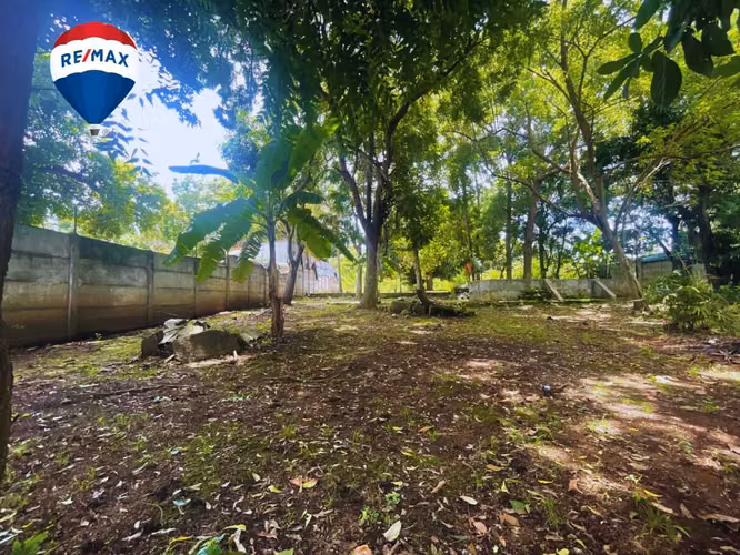 Lote con gran potencial en Carretera Masaya
