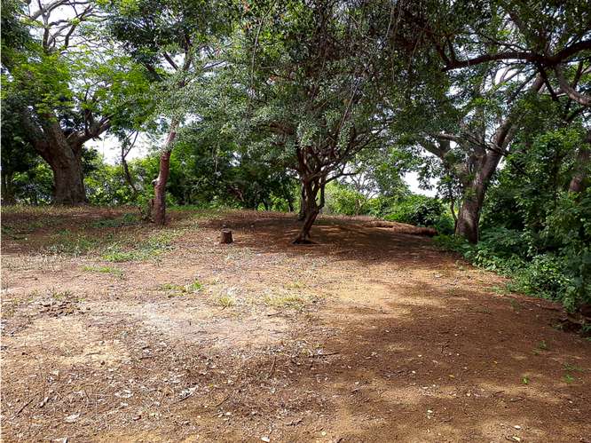 Se Vende Terreno Km. 10.5 Carretera Sur - JJ