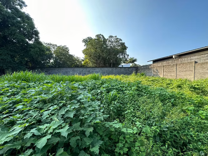 Vendo terreno en condominio privado - Imagen 4