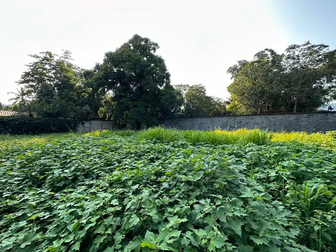 Vendo terreno en condominio privado - Imagen 2