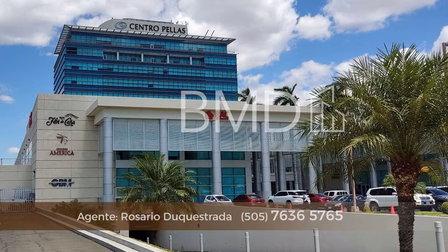 Pellas building, office available 6th floor