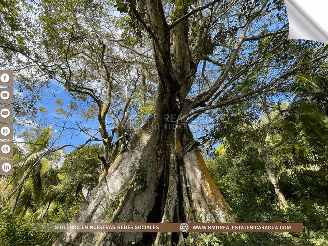 For sale 9.5 mzs potential for tourist development in Catarina MIMH