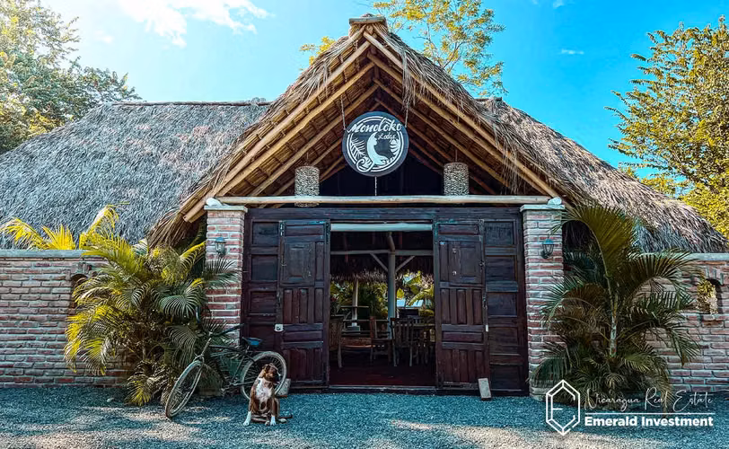Luxurious Forest Retreat near Playa Santana | Monoloko Lodge