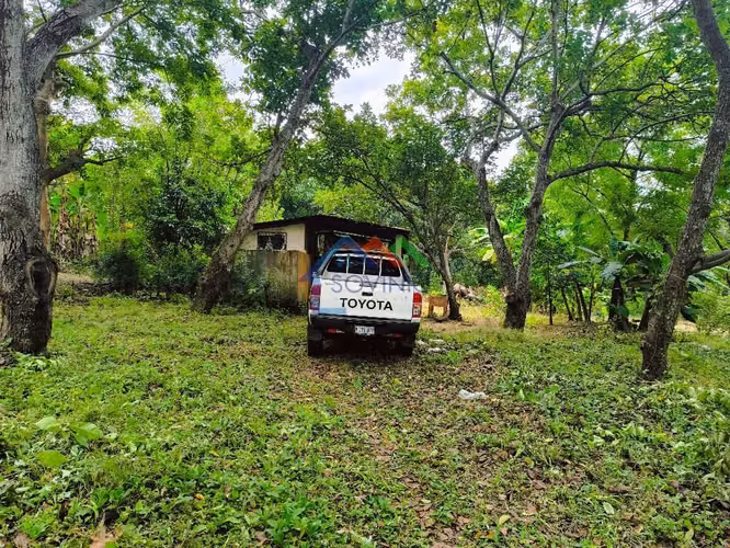 Venta de 3 manzana en Ticuantepe Managua Nicaragua - Imagen 2