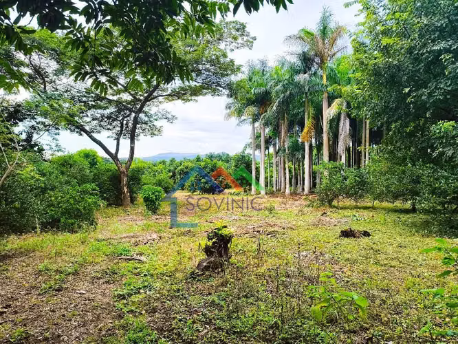 Venta de 3 manzana en Ticuantepe Managua Nicaragua - Imagen 4