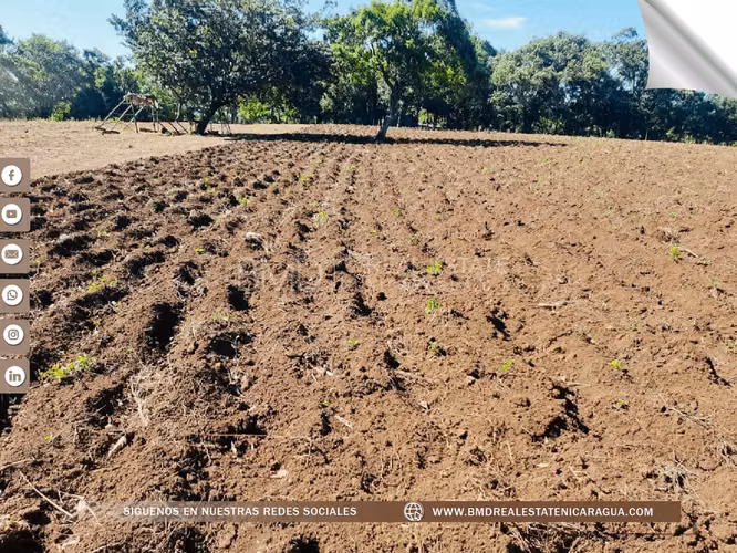 Se vende finca de 11 mz en las afueras de Diriamba BMD - Imagen 13