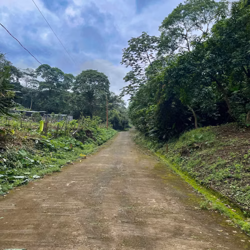 Venta de Antigua Finca Cafetalera en Las Nubes, El Crucero