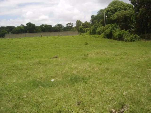 Terreno Ctra Masaya Km 13 - Imagen 2