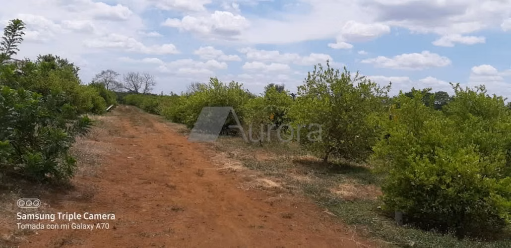 Finca 0181 AH - Imagen 11