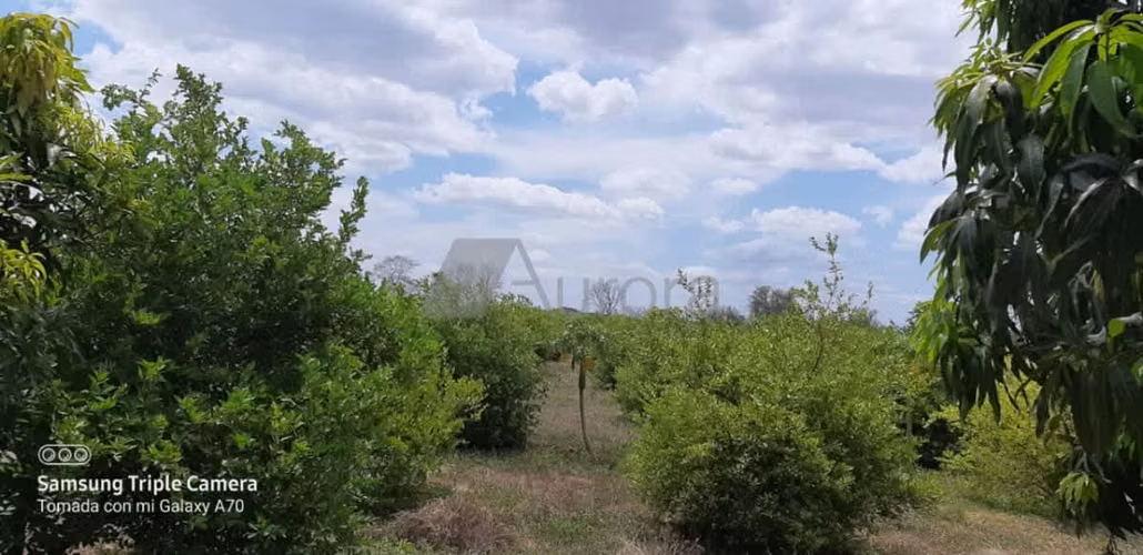Finca 0181 AH - Imagen 10