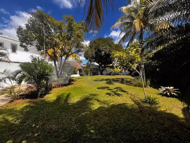 STO 0008 JL - Imagen 4