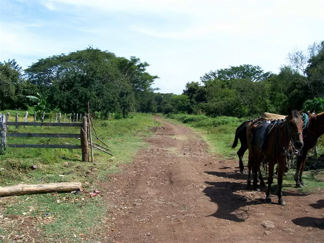 FINCA 0103 CH - Imagen 2